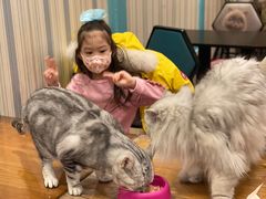 -猫小院猫主题咖啡厅(北锣店)
