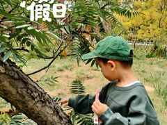 -韩家墅海吉星农产品批发市场