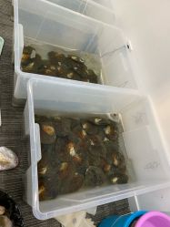 -邵老师打金·黄金加工(大望路总店)