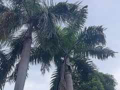 -广州市白云山风景名胜区
