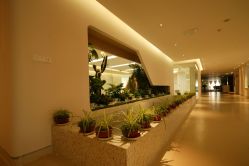 -北京和美妇儿医院