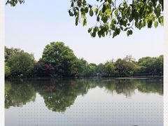 -西湖外事游船(花港观鱼码头)