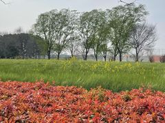 -嘉北郊野公园