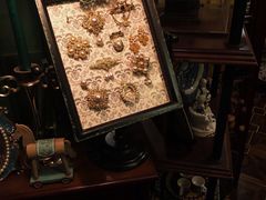-一棵树咖啡馆(泉乐坊店)