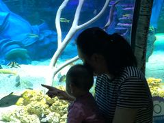 -沈阳海洋探索中心