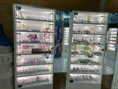 -天津大学爱尔眼科医院(天津院区)