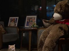 -咖法森林·咖啡  酒吧(天河店)