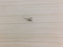 -栖游青年旅舍(华强北地铁站店)