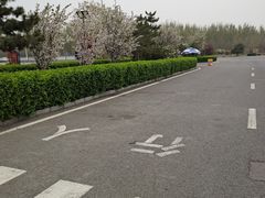 -藁城北服务区-停车场