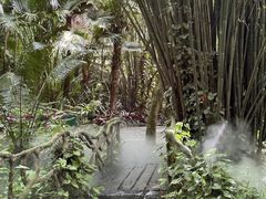 -呀诺达热带雨林
