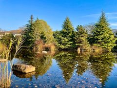 -白马涧龙池景区