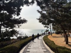 -燕儿岛山公园