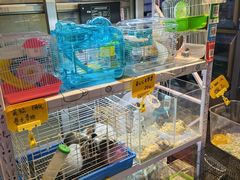 -宝鸡东道花鸟鱼虫市场(吉利花园商场店)