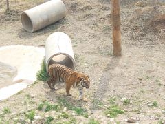 -济南野生动物世界