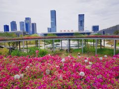 -白石龙音乐公园
