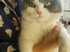 -康乐宝动物医院