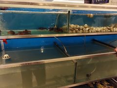 -海天一色海景自助餐厅(西港花园店)