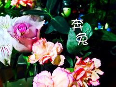 iphone_upload_pic-良友书坊(安徽路店)