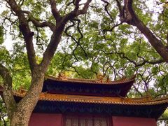 -普陀山风景名胜区-法雨禅寺