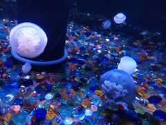 -成都浩海立方海洋公园