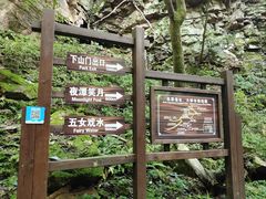 -五女峰国家森林公园