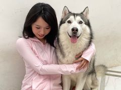 -星多哈·狗咖·拼豆·咖啡