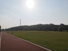 -艾溪湖湿地公园