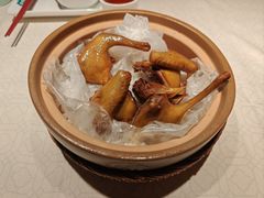 -大鸽饭(动物园店)