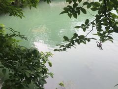 流溪河国家森林公园-广州市流溪河国家森林公园