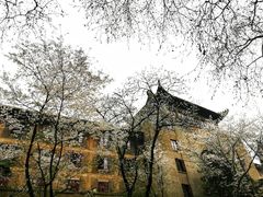 -武汉大学-樱园