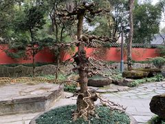 -成都武侯祠博物馆