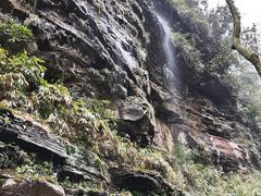 -碧峰峡风景区