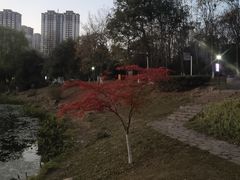 -金陵矩阵(聚宝山公园店)