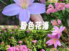 -渭滨公园