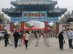-曹州牡丹园