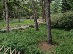 -黑龙江省森林植物园