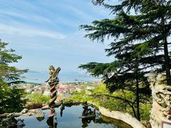 -信号山公园