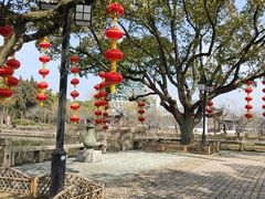 -无锡梅园公园