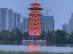 -洋湖国家湿地公园