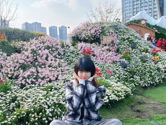 -首开·龙湖成都西宸天街