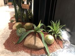 -CHIC1699远洋私厨