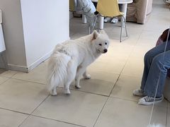 -怪兽屋·羊驼·猫咖·狗咖(俊华广场店)