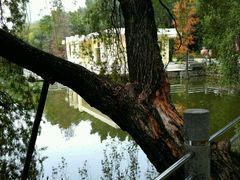 -人民公园(罗湖区)