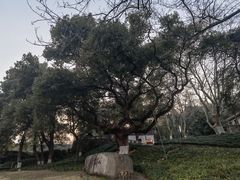 -中国美术学院象山校区-民艺博物馆