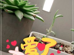 -猫王榴莲世家(三里屯SOHO商场店)