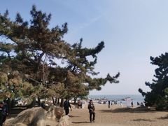 -老虎石海上公园