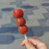 胡大饭店 | 除了小龙虾🦞炒菜也是yyds[馋]