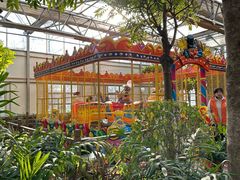 -南宫五洲植物乐园