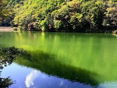 -龙道沟景区