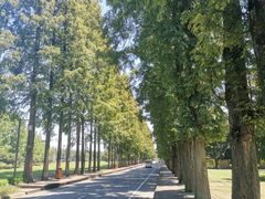 -青城山